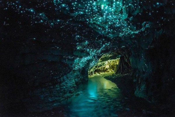 Waitomo Glowworm Cave, New Zealand