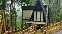 Jungle stay, homestay Wayanad, best homestay in Wayanad